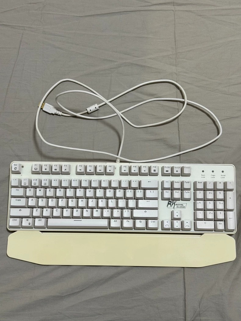 RK RG-920机械键盘，白色青轴(混光版)，带RGB背光。  键盘成色很新，按键手感舒适，灯光效果很棒。配套原装腕托，打字很舒服。  有线连接，接口是USB